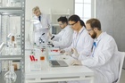 Investigadores trabajando en el laboratorio