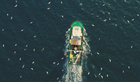 Imagen de archivo de un pesquero faenando en las costas de la Región de Murcia.