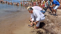 El consejero de Medio Ambiente, Universidades, Investigación y Mar Menor, Juan María Vázquez, libera un total de 20 ejemplares de tortuga boba en...