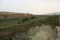 Espacio Natural Protegido de los Saladares del Guadalentín.