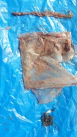 Imagen del plástico hallado en la necropsia del cachalote muerto en aguas e Cartagena