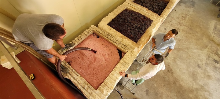 El consejero Antonio Luengo visita una bodega que utiliza la piedra caliza en la fermentación de sus vinos