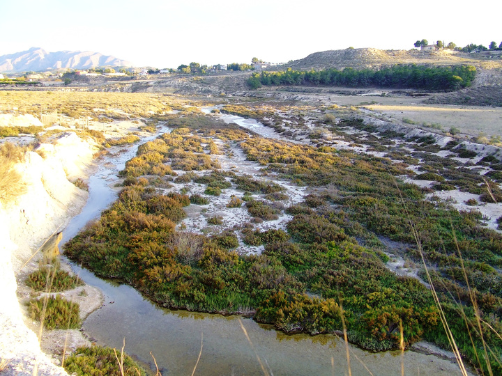 Imagen del artículo La Comunidad adquiere terrenos en Ajauque y Río Chícamo para asegurar la conservación de los espacios protegidos
