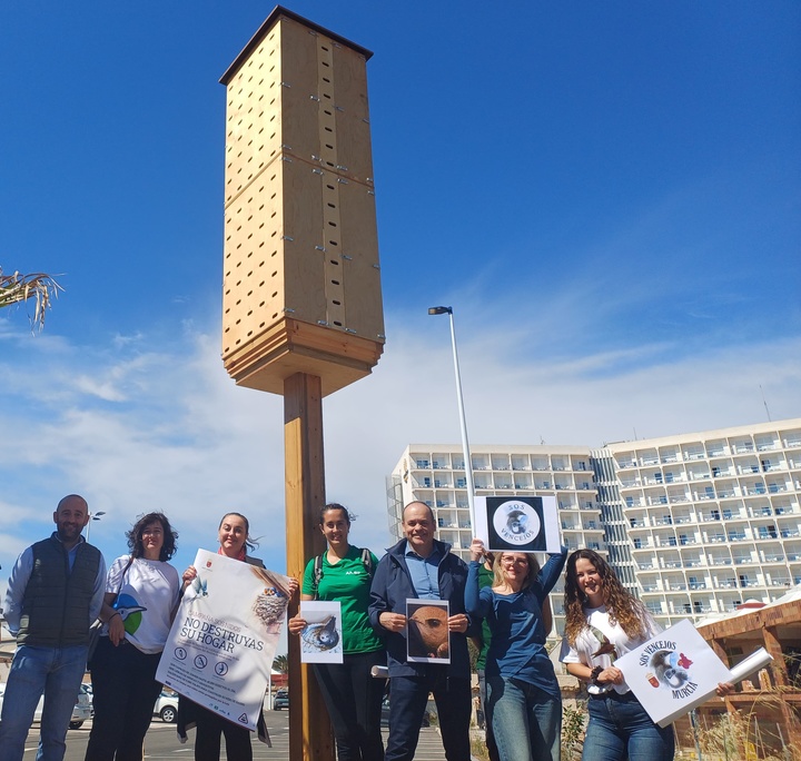 La secretaria autonómica de Energía, Sostenibilidad y Acción Climática, María Cruz Ferreira, visitó esta mañana la primera Torre de la Biodiversidad donde los vencejos podrán anidar.