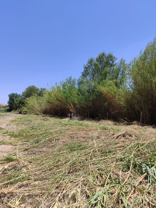 Espacio de la Red Natura 2000 ZEC Sierras y Vega Alta del Segura y Ríos Alhárabe y Moratalla