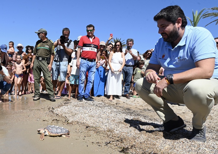 El presidente del Gobierno regional, Fernando López Miras, durante la suelta de 30 ejemplares de tortuga boba en playa de Isla Playa, en Cartagena