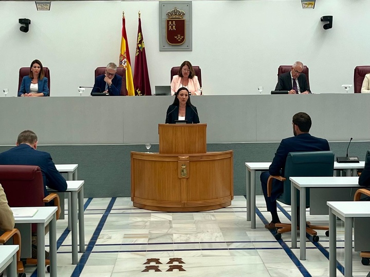 Un momento de la intervención de la consejera de Turismo, Cultura, Juventud y Deportes, Carmen Conesa, ante el Pleno de la Asamblea.