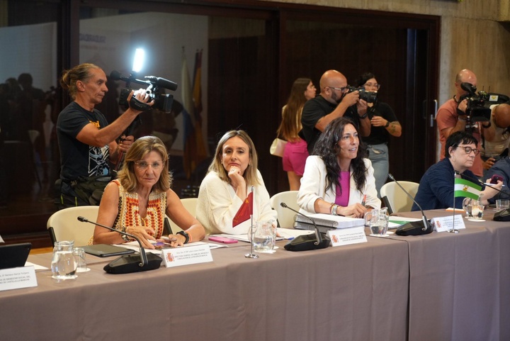 La consejera de Política Social, Familias e Igualdad, Conchita Ruiz, durante su participación en la conferencia sectorial de infancia y adolescencia
