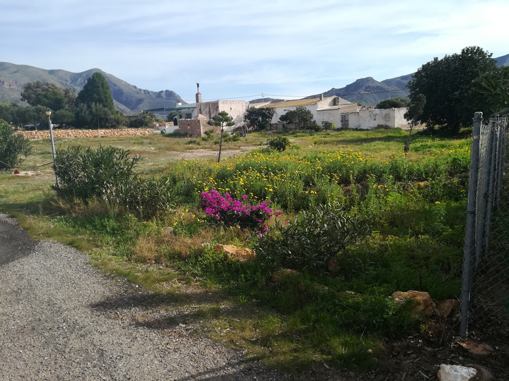 Imagen del artículo Medio Ambiente autoriza las obras para dotar de una red de abastecimiento de agua potable al paraje del Campillo de Adentro en Cartagena