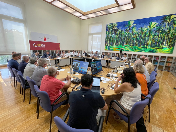 Pleno del Consejo Escolar de la Región de Murcia