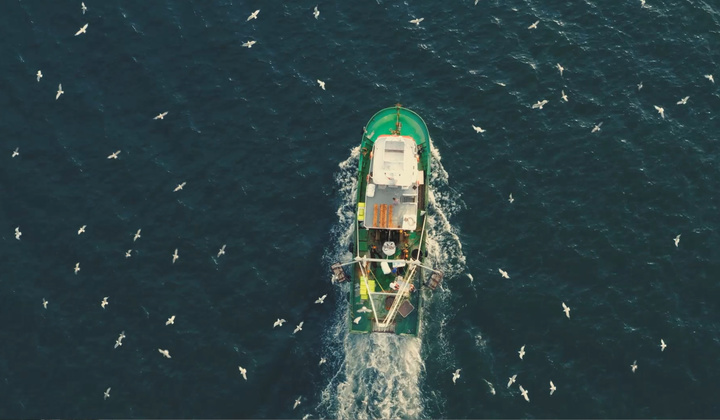 Imagen del artículo El Gobierno regional convoca las ayudas por valor de 1,3 millones de euros para la paralización temporal del sector pesquero