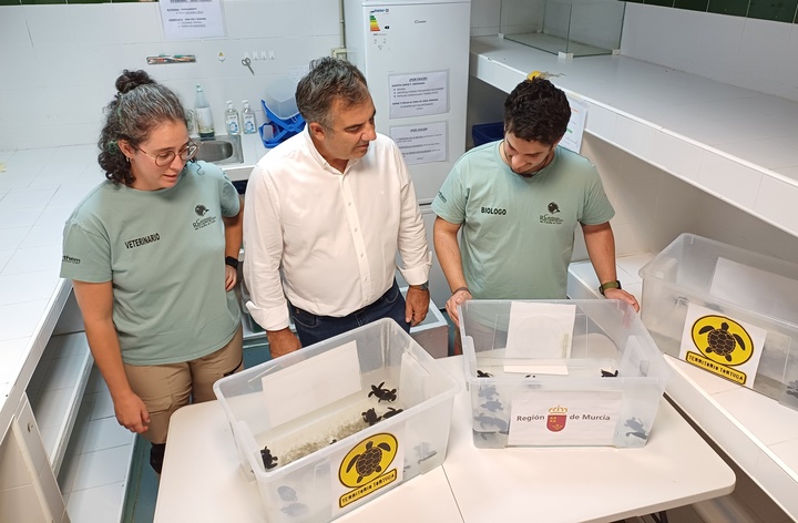 El consejero de Medio Ambiente, Universidades, Investigación y Mar Menor, Juan María Vázquez, junto a la veterinaria (Andrea) y el biólogo (Mario), que son los que se han hecho cargo del traslado y de las pequeñas tortugas en el CRFS (1)