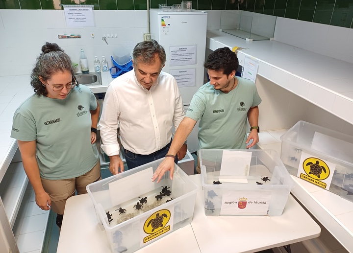 El consejero de Medio Ambiente, Universidades, Investigación y Mar Menor, Juan María Vázquez, junto a la veterinaria (Andrea) y el biólogo (Mario), que son los que se han hecho cargo del traslado y de las pequeñas tortugas en el CRFS (2)