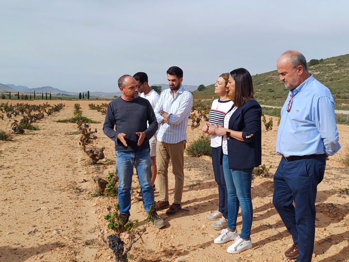 La consejera Sara Rubira visita un cultivo de viñedo en Jumilla