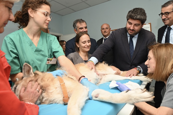 El jefe del Ejecutivo regional preside el acto conmemorativo del 25 aniversario del Hospital Clínico Universitario de la Universidad de Murcia (UMU).