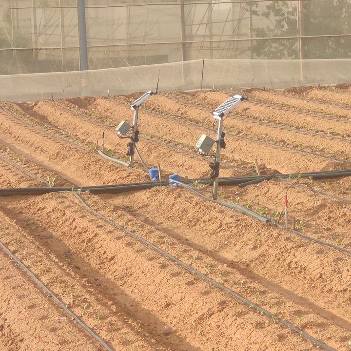 Imagen de los sensores instalados en el campo de cultivo donde se están realizando las pruebas.