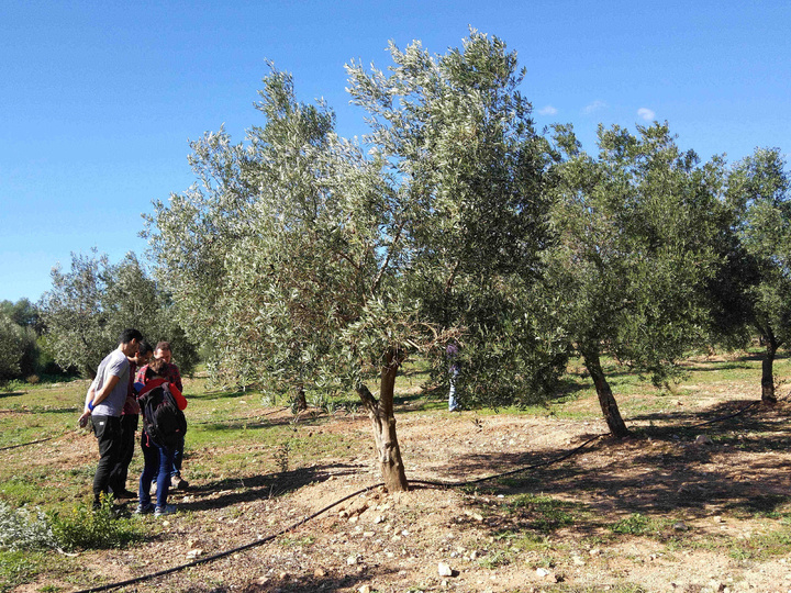 Conferencia europea sobre Xylella fastidiosa (2)