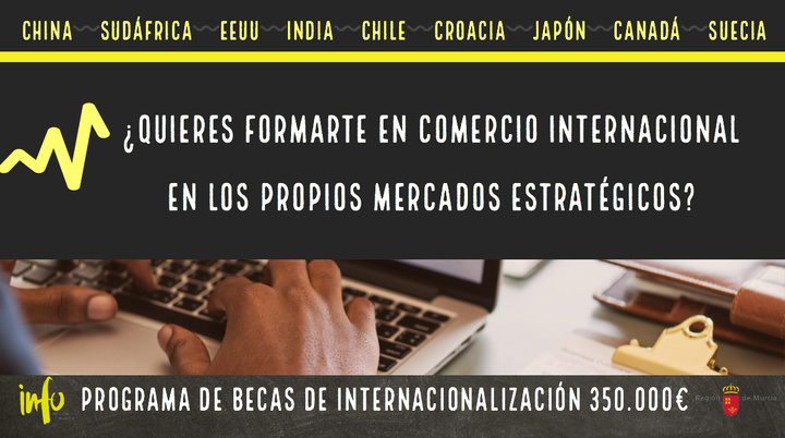 Gráfico de las becas de internacionalización