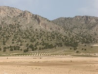 Imagen de archivo de cultivos en zonas de montaña