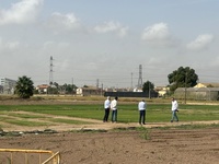 Imagen de los sensores instalados en el campo de cultivo donde se están realizando las pruebas.