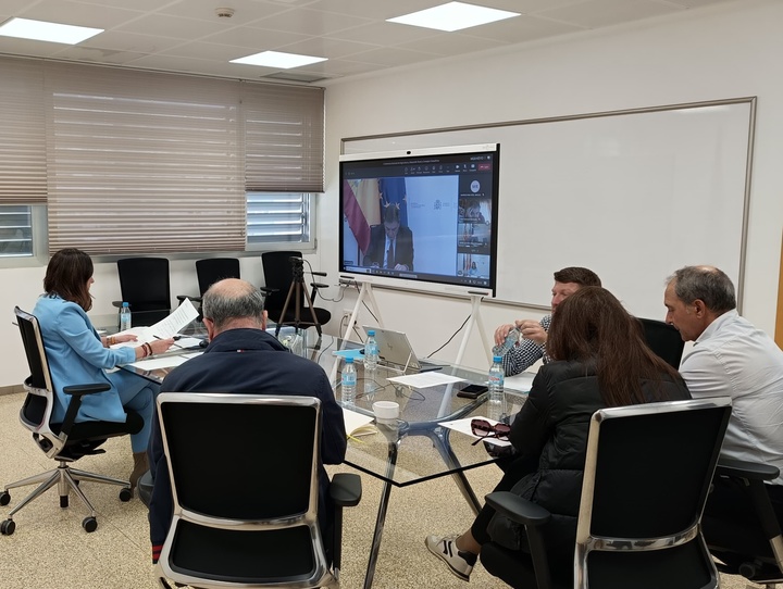 Imagen de la consejera Sara Rubira durante la reunión realizada por videoconferencia 