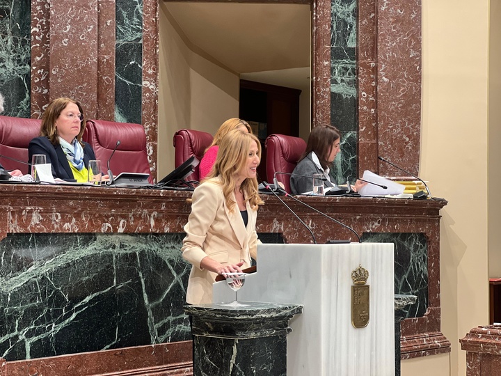 La consejera de Empresa, Empleo y Economía Social, Marisa López Aragón, durante su comparecencia de hoy en la Asamblea Regional.